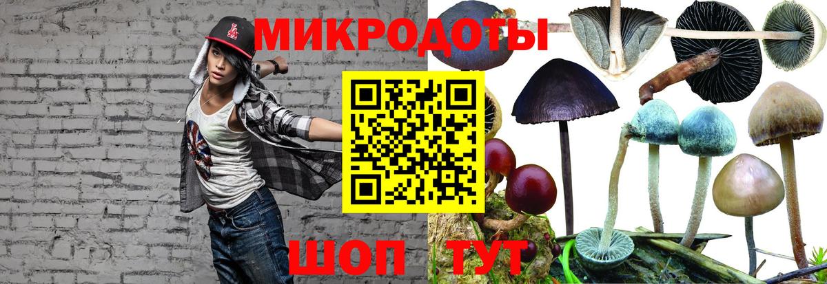 Псилоцибиновые грибы Magic Shrooms  Псилоцибиновые грибы Magic Shrooms  наркота  Бутурлиновка  Вход с VPN 