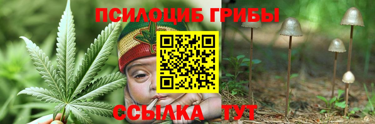Галлюциногенные грибы Cubensis Бутурлиновка